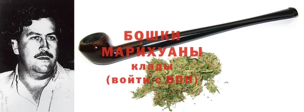 ПСИЛОЦИБИНОВЫЕ ГРИБЫ Верея