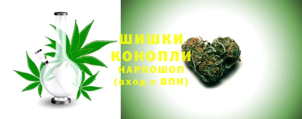 PSILOCYBIN Бородино