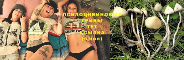 ПСИЛОЦИБИНОВЫЕ ГРИБЫ Верея
