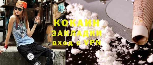 ПСИЛОЦИБИНОВЫЕ ГРИБЫ Верея