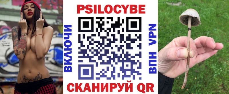 Галлюциногенные грибы MAGIC MUSHROOMS  Купить  Лыткарино 