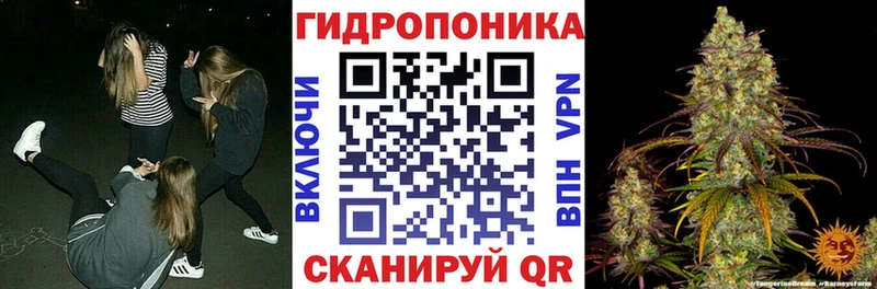 Шишки марихуана планчик  Купить  Лыткарино 